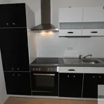 Miete 1 Schlafzimmer wohnung von 55 m² in Nuremberg