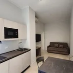 Rent 1 bedroom apartment of 45 m² in milano