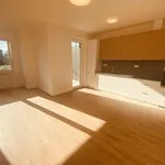 Rent 1 bedroom apartment in Třebíč