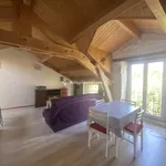 Rent 2 bedroom apartment of 36 m² in Millau