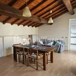 Rent 3 bedroom apartment of 110 m² in Modena