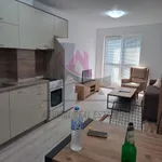 Rent 2 bedroom apartment of 60 m² in Levski