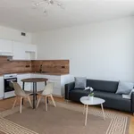 Rent 1 bedroom apartment in Capital City of Prague