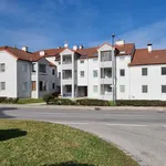 Rent 3 bedroom apartment of 79 m² in Kaisersteinbruch