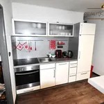 Rent 3 bedroom apartment in Liberec