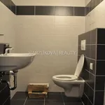 Rent 1 bedroom apartment of 28 m² in České Budějovice