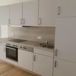 Rent 2 bedroom apartment of 55 m² in Graz