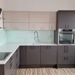 Rent 3 bedroom apartment of 100 m² in Prague