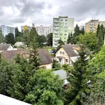 Rent 1 bedroom apartment in Jičín