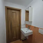 Rent 1 bedroom apartment of 20 m² in Pilsen