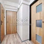 Rent 2 bedroom apartment of 45 m² in Nové Sedlo