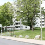 Rent 3 bedroom apartment of 64 m² in Siegen