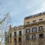 Rent a room in Barcellona