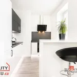 Rent 1 bedroom apartment of 33 m² in Brno