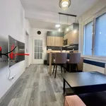 Rent 1 bedroom apartment in Capital City of Prague