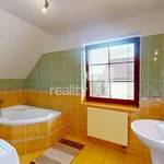 Rent 1 bedroom house of 893 m² in Okrouhlice