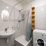 Rent 1 bedroom apartment of 25 m² in Prague