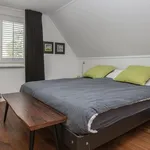 Huur 3 slaapkamer huis van 204 m² in het-gooi