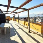 Affitto 4 camera appartamento di 85 m² in Frosinone