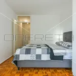 Rent 1 bedroom apartment of 62 m² in Zagreb