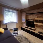 Rent 2 bedroom apartment of 33 m² in Gliwice