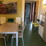 Rent 4 bedroom apartment of 110 m² in Porto Cesareo