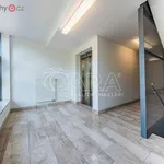 Pronajměte si 3 ložnic/e byt o rozloze 95 m² v Praha