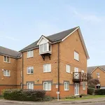 Rent 1 bedroom apartment in East Of England