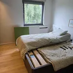 Huur 2 slaapkamer appartement van 140 m² in Waregem