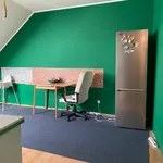 Rent 1 bedroom apartment in Praha - východ