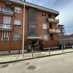 Rent 2 bedroom apartment of 80 m² in collegno