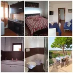 Rent 2 bedroom apartment of 50 m² in Pulsano