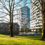 Zugerstrasse, Cham - Amsterdam Apartments for Rent