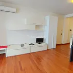 Rent 1 bedroom apartment of 40 m² in Roma