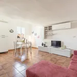 Rent 1 bedroom apartment in Florence