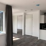 Rent 1 bedroom apartment of 48 m² in Maarssen
