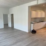 Rent 3 bedroom apartment of 115 m² in Randers C