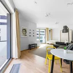 Rent 1 bedroom apartment of 44 m² in Prague