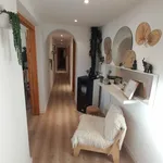 Rent 3 bedroom house in Palma de Mallorca