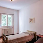 Rent a room in trento