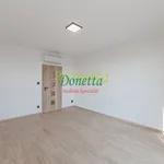 Pronajměte si 2 ložnic/e byt o rozloze 48 m² v Hradec Králové