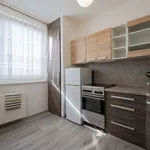 Rent 1 bedroom apartment of 33 m² in zlin