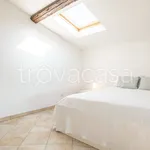 Rent 3 bedroom apartment of 80 m² in Pisa