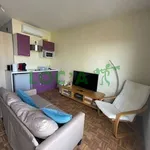 Rent 1 bedroom apartment of 33 m² in Lyon 3