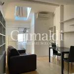 Rent 1 bedroom apartment of 42 m² in Bologna