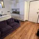 Rent 2 bedroom apartment of 60 m² in Torino