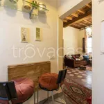 Rent 2 bedroom apartment of 50 m² in Firenze