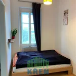 Rent 2 bedroom apartment of 38 m² in Praha