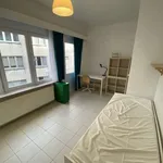 Rent 1 bedroom apartment in brussels