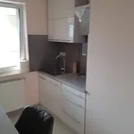 Rent 2 bedroom apartment of 56 m² in Lublin